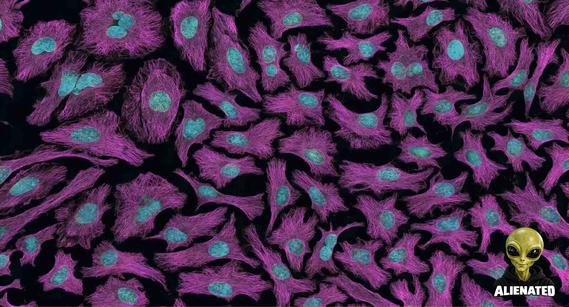 This Unusual “Rogue DNA” Allows Some Cancers to Thrive—and Scientists Just Found Its Achilles’ Heel