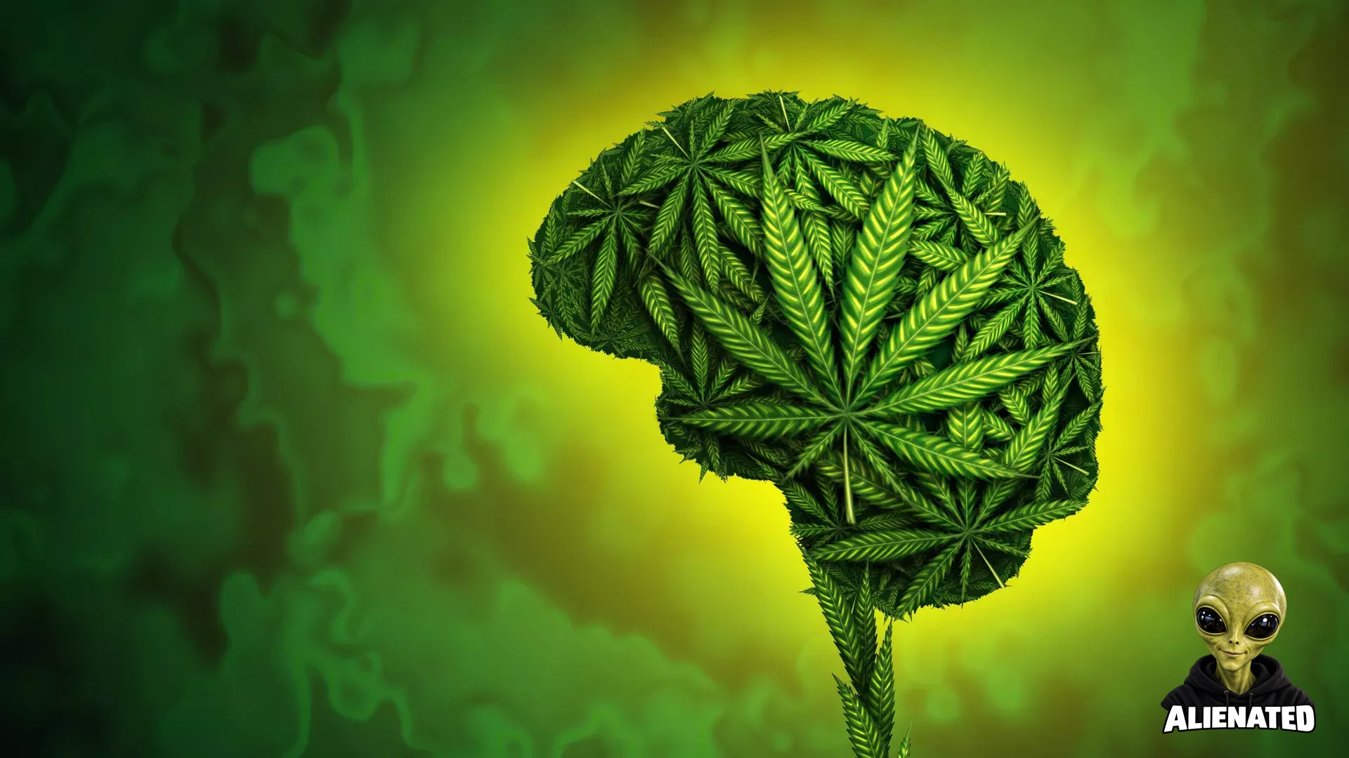 Cannabis Use Linked to Violence