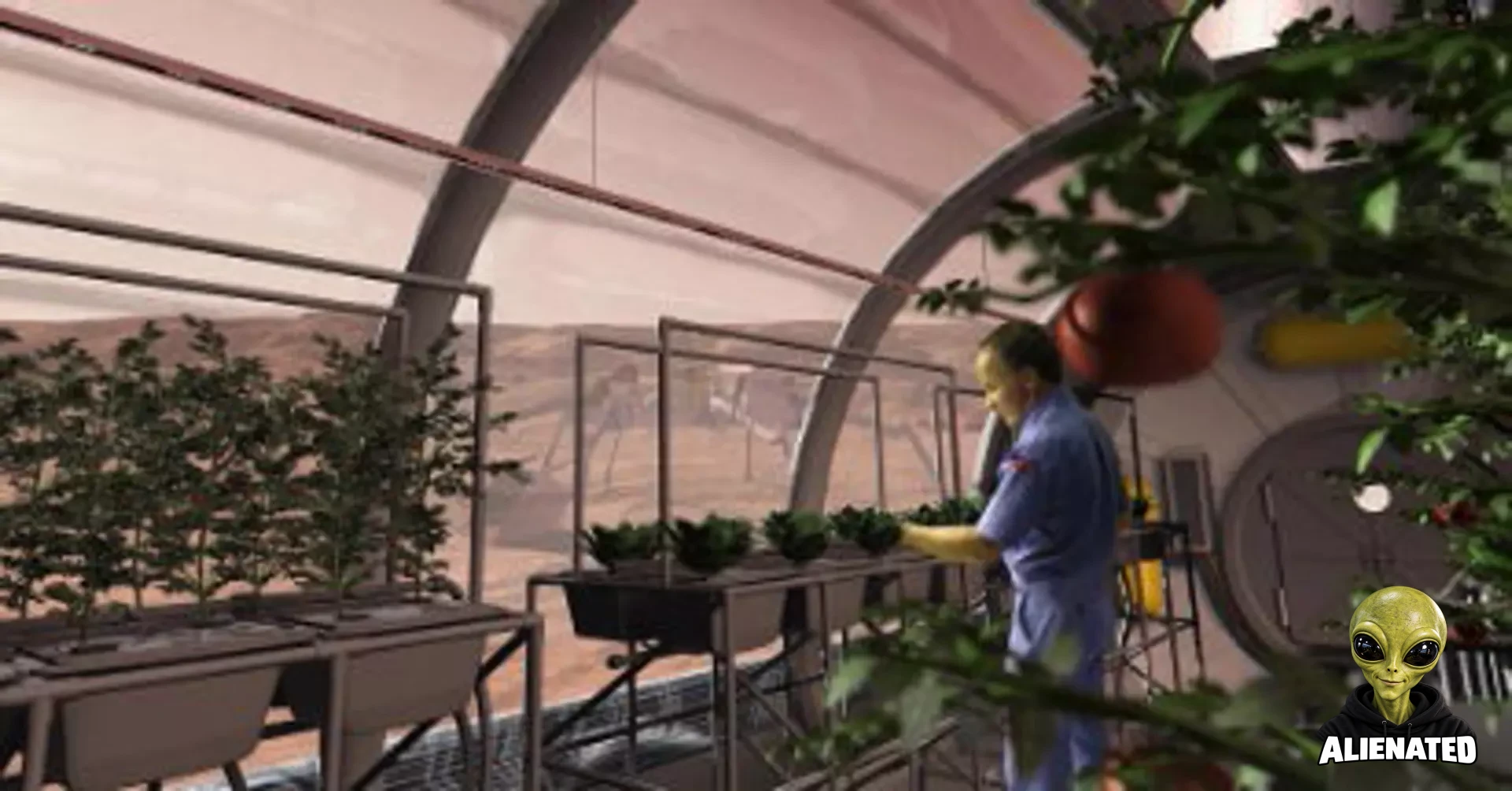 Could Fungi Be the Missing Ingredient for Growing Food on Mars?