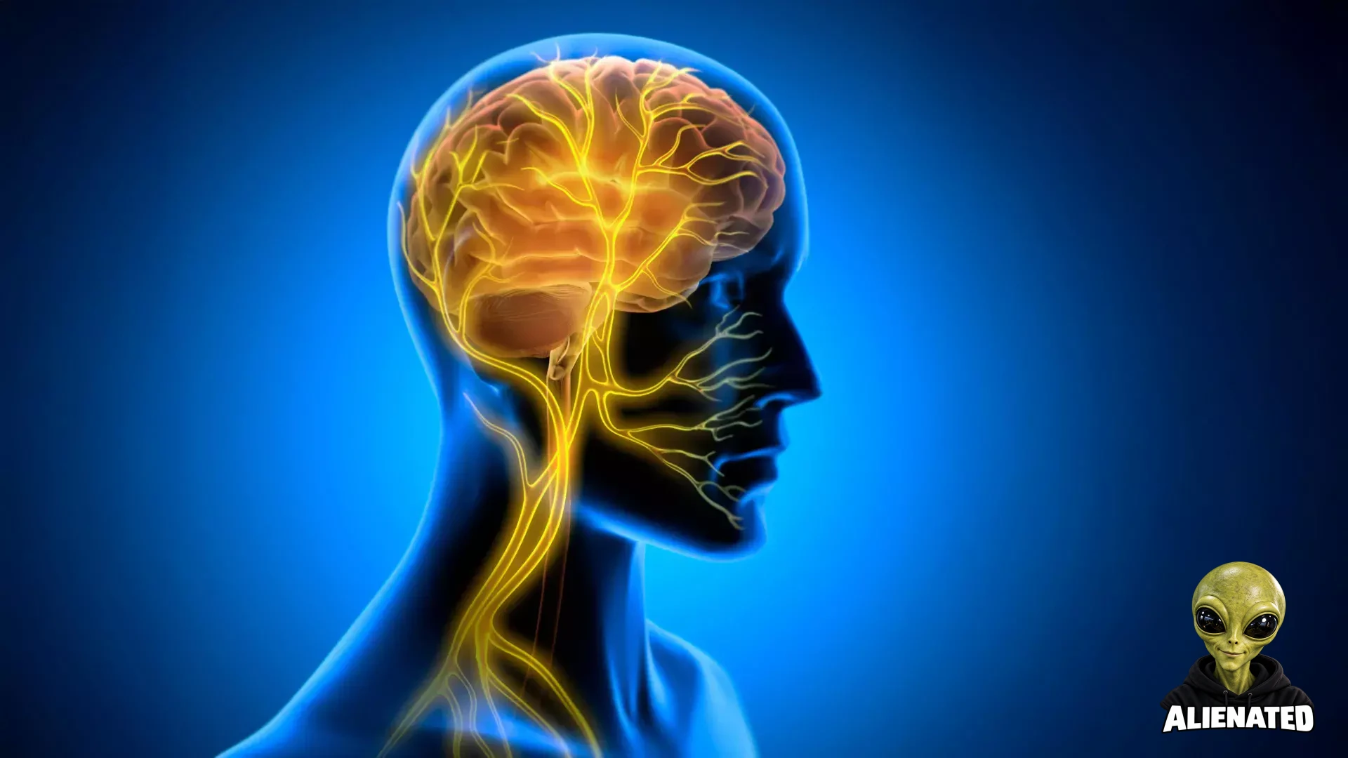 Vagus Nerve Stimulation Boosts Learning