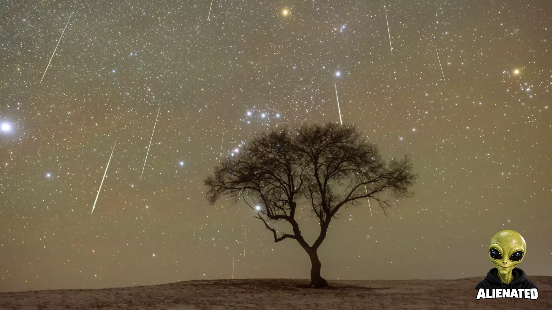 The moon sets and meteors fly by a lonely tree on the grassland.