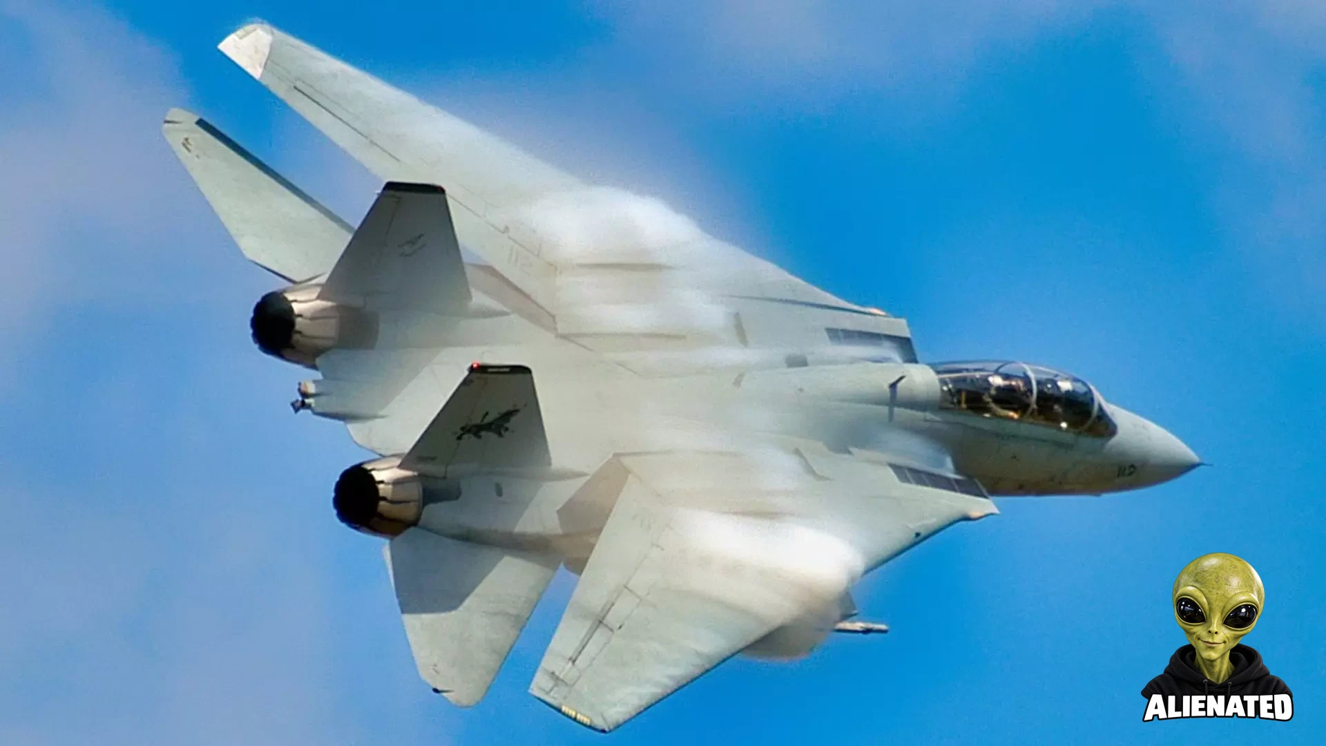The US Air Force Turned Downed the F-14 Tomcat and the Rest Is History (As in the US Navy Took it for Aircraft Carriers)