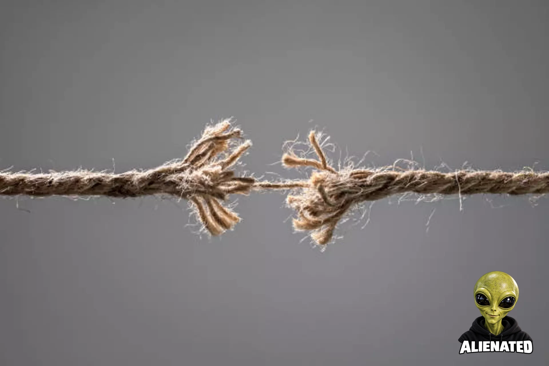 istockphoto-1206615949-612x612